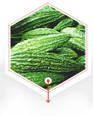 Bitter Melon Ingrediens