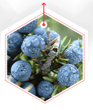 Enbär Bär Ingrediens