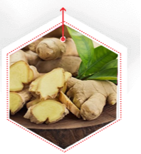 Ingefära Ingrediens