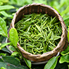 Extrato de Chá Verde